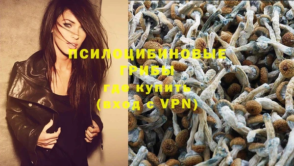 ПСИЛОЦИБИНОВЫЕ ГРИБЫ Абинск